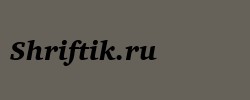 Charter Black Italic BT 